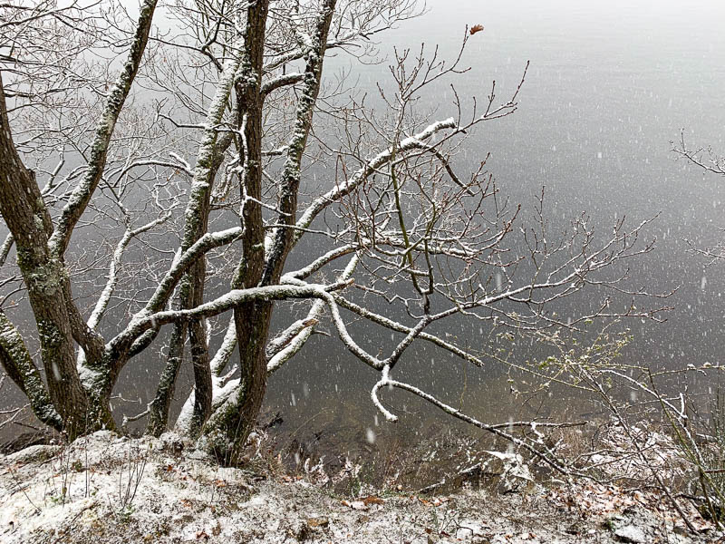 Winterlandschaft